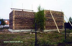 Ставиться зруб будинку з Вологодської деревини