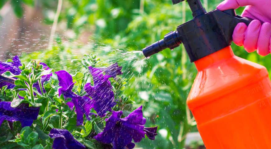 Добрива і різні хімічні засоби для обробки рослин цілком можна замінити на речовини, які є традиційними в медицині, їх можна знайти в будь-якій домашній аптечці, а щось - навіть і на кухні   7 способів застосування перекису водню в садівництві   У садівництві перекис водню використовується практично скрізь: як фунгіцид, інсектицид, стимулятор росту