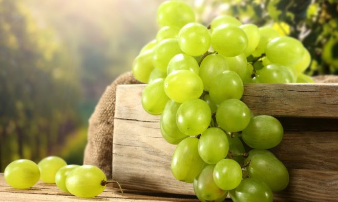 Догляд за виноградом - важка і копітка праця