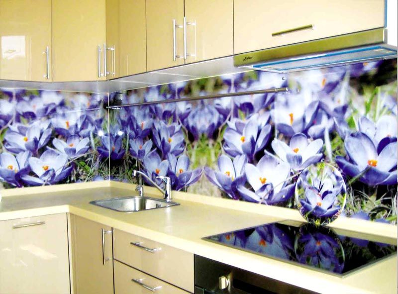 Фото скляних панелей на фартух для кухні без малюнка: