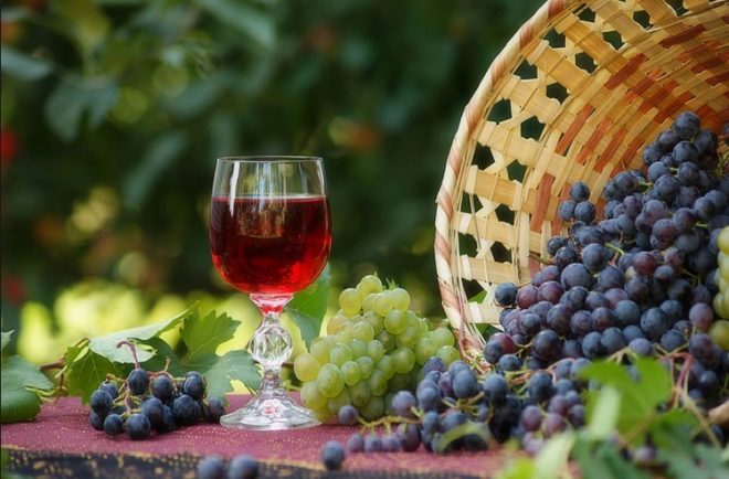У прохолодних регіонах вино вийде тонким, з переважанням «зелені» і квітів, делікатним