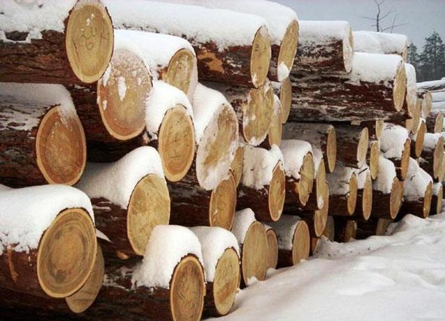 - Найчастіше дерев'яні рубані будинки будуються саме через зимової деревини, так як вона просто фізично легше, що полегшує виробничі роботи